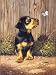 Junior Small Paint By Number Kit: 8.75x11.75 Dachshund Puppy