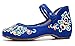 AvaCostume Women's Chinese Embroidery Casual Mary Jane Travel Walking Shoes Blue 40
