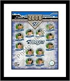 Toronto Blue Jays 2008 Team Composite Framed 8x10 Photograph