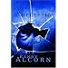 Deception (Ollie Chandler, Book 3)