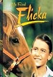 My Friend Flicka