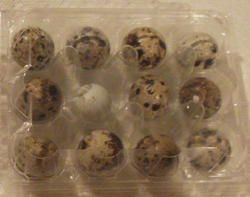 Quail Eggs