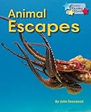 Animal escapes