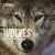 Face to Face With Wolves (Face to Face with Animals)