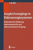 Ausgleichsvorgänge in Elektroenergiesystemen: Mathematische Einführung, elektromagnetische und elektromechanische Vorgänge