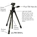 Velbon ULTRA-MAXIM Tripod with PHD-31Q 3-Way Pan/Tilt Head Supports 4.4 lbs