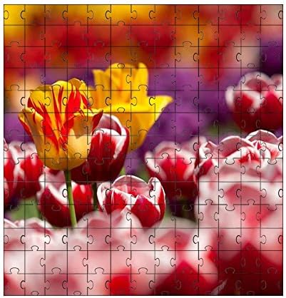 Tulip Flower Puzzle 30*30CM 169-Piece