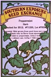 Peppermint Certified Organic Seeds 600 Seeds