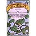 Peppermint Certified Organic Seeds