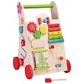 Maxim EverEarth Activity Walker