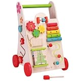 Maxim EverEarth Activity Walker