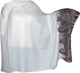 Antique Paisley Shawl Plane White with Border Design (psley289)