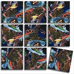 B Dazzle Wilderness Adventure Scramble Squares 9 Piece Puzzle