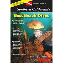 A Diver's Guide to Southern California's Best Beach Dives