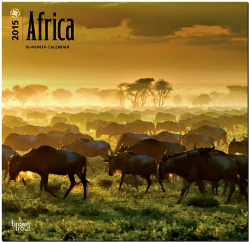 Africa 2015 Square 12x12
