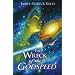 The Wreck of the Godspeed: And Other Stories