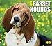Just Basset Hounds 2015 Box Calendar