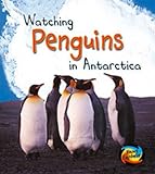 Watching penguins in Antarctica