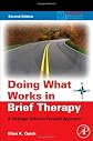 Doing What Works in Brief Therapy