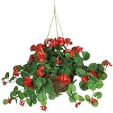 Red Geranium Hanging Basket Silk Plant