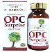 �ޥ����ꥨ OPC���ץ饤�� 360γ