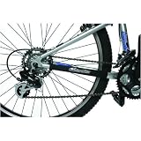 Lizard Skins Chainstay Guard