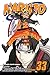 Naruto, Vol. 33: The Secret Mission