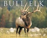: Bull Elk 2009 Calendar