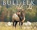 Books : Bull Elk 2009 Calendar