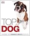Top Dog
