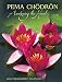 Pema Chodron 2012 Engagement Calendar