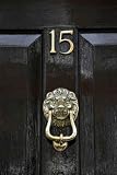 Brass Door Knocker - Peel and Stick Wall Decal by Wallmonkeys