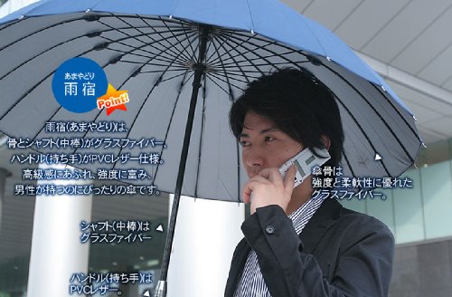 24本骨傘 高強度グラスファイバー仕様 【雨宿】 (あまやどり) 直径約105cm ネイビー 22818