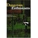 Dangerous Enthusiasms: E-government, Computer Failure and Information Systems Development