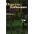 Dangerous Enthusiasms: E-government, Computer Failure and Information Systems Development
