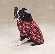 RED - LARGE - The Logger Dog Utility Jacket
