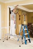 Werner AP-20-MP6 225-lbs-Load Capacity Work Platform