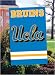 UCLA Bruins 28"x44" Applique Banner Flag
