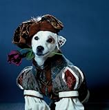 Wishbone