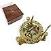RedSkyTrader Sundial Compass Solid Brass Sun Dial (with Wooden Box)