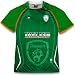 Ireland Soccer Jersey T-shirt, Ireland World Cup Soccer T-Shirt