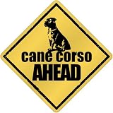 New  Cane Corso Bites Ahead !  Crossing Dog