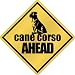 New  Cane Corso Bites Ahead !  Crossing Dog