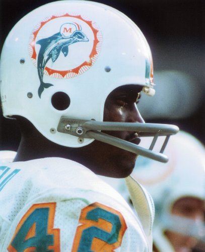 PAUL WARFIELD MIAMI DOLPHINS 8X10 SPORTS ACTIO PHOTO (A)