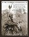 Professionally Framed Ten Indian Commandments Native American Sitting Art Poster Print - 16x20 with RichAndFramous Black Wood Frame