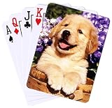 Dog Breed Cards Golden Retriever