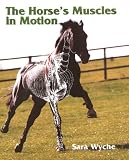 The Horse's Muscles in Motion