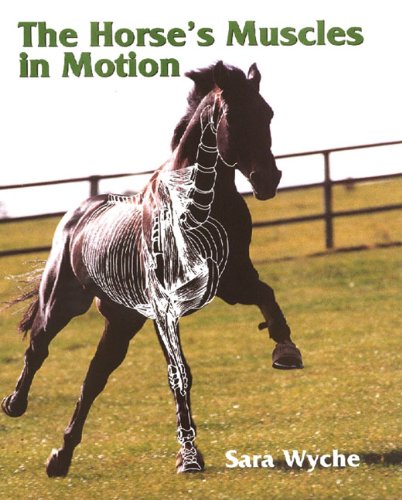 The Horse's Muscles in Motion