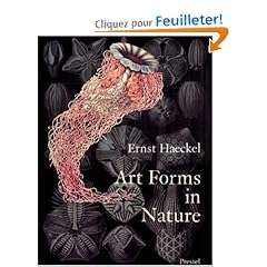 Art Forms in Nature: The Prints of Ernst Haeckel