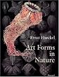 Art Forms in Nature: Prints of Ernst Haeckel